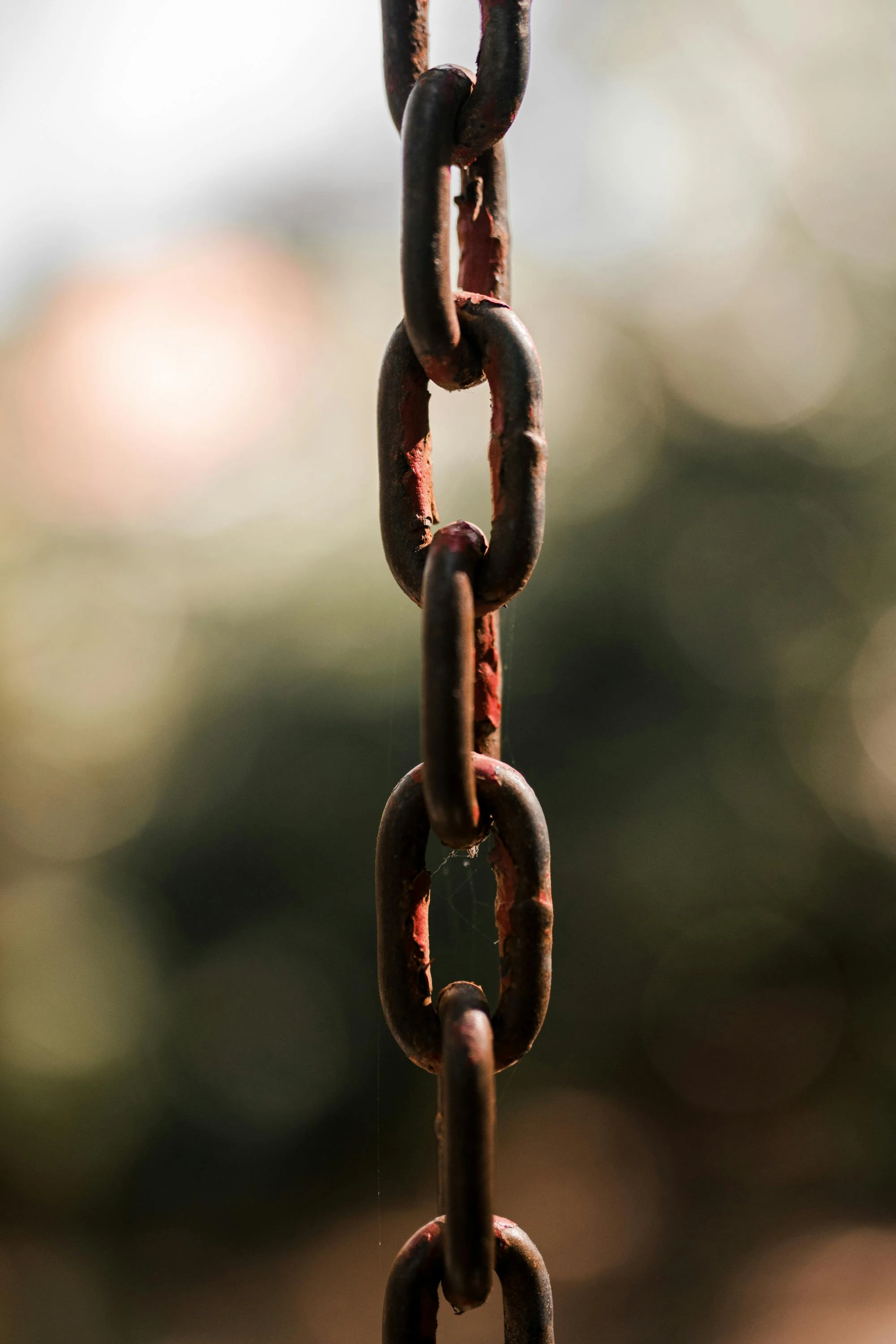 rigid chain