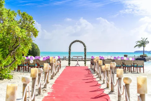 Wedding Photography